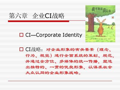 企業CI戰略與企業形象策劃